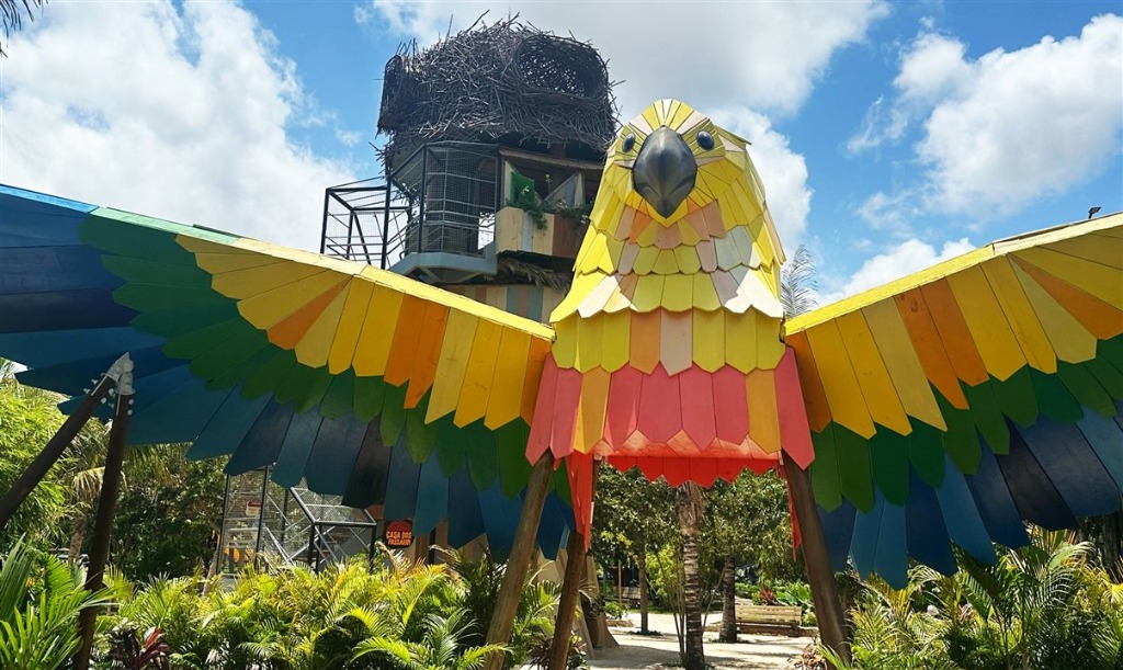 Novas Atrações no Parque Arvorar: Aposta do Beach Park em Ecoturismo
