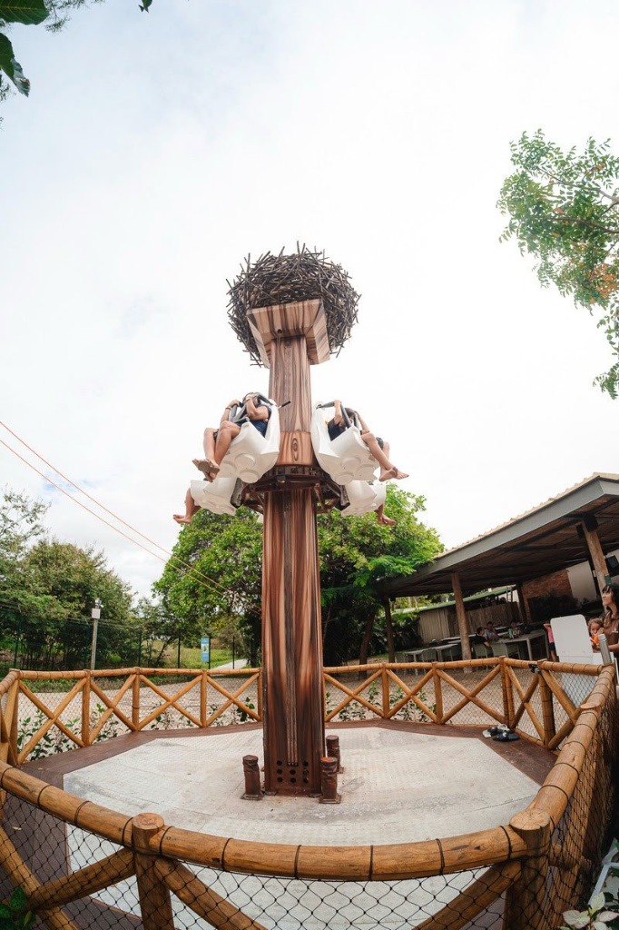Atração Ninho do Explorador no Parque Arvorar