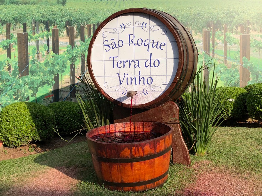 Vindima da Uva em São Roque: A Tradicional Pisa da Uva